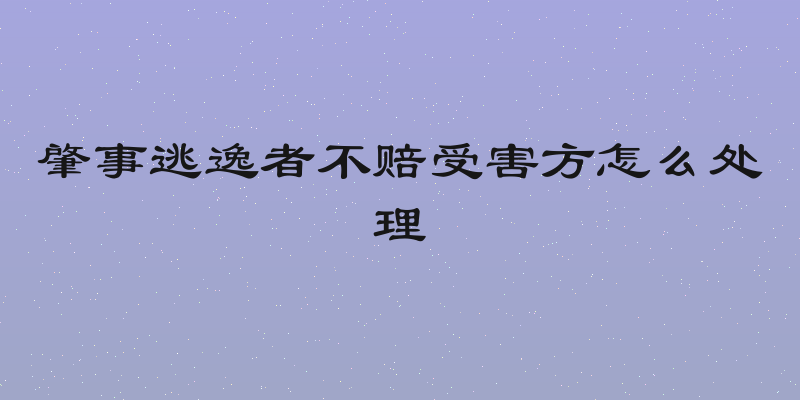 肇事逃逸者不赔受害方怎么处理