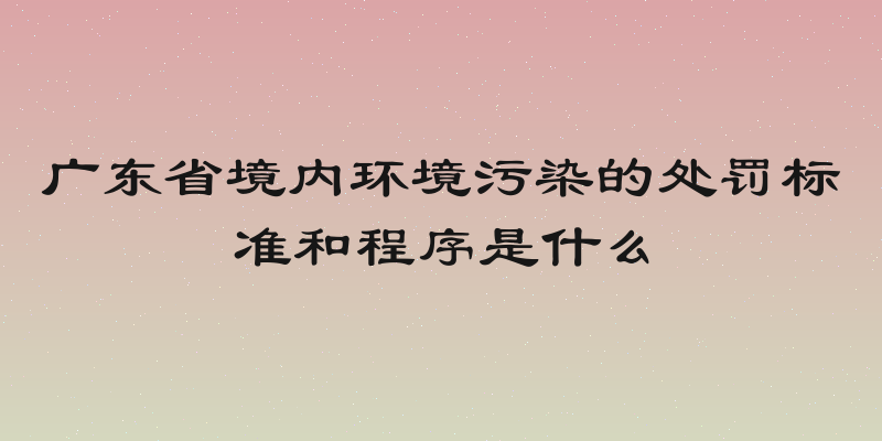 广东省境内环境污染的处罚标准和程序是什么