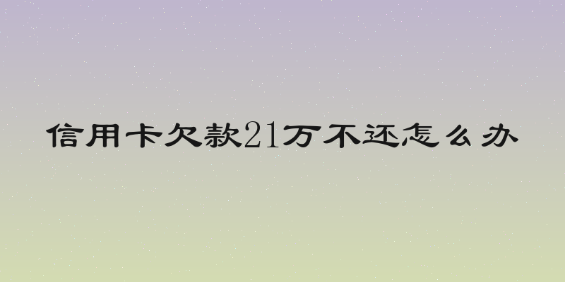 信用卡欠款21万不还怎么办