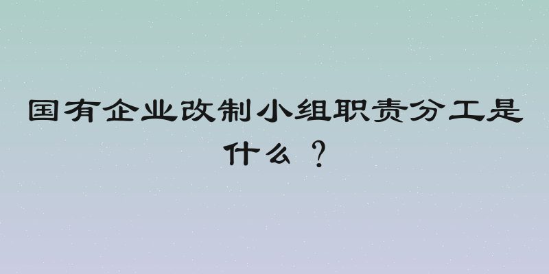 国有企业改制小组职责分工是什么？