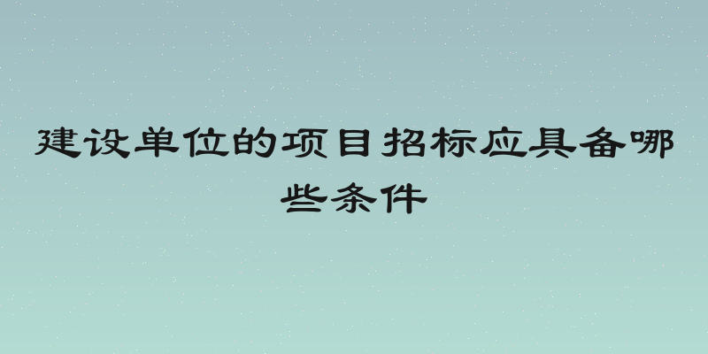 建设单位的项目招标应具备哪些条件