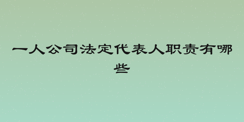 一人公司法定代表人职责有哪些
