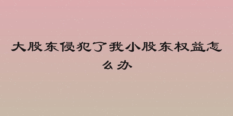 大股东侵犯了我小股东权益怎么办