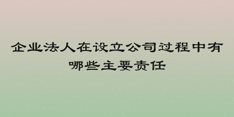 企业法人在设立公司过程中有哪些主要责任