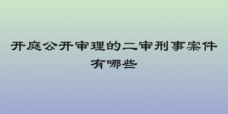 开庭公开审理的二审刑事案件有哪些