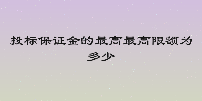 投标保证金的最高最高限额为多少
