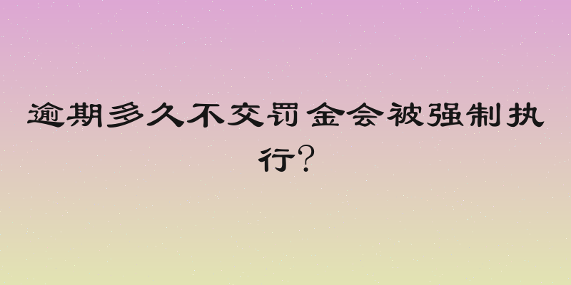 逾期多久不交罚金会被强制执行?