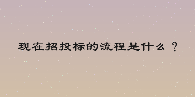 现在招投标的流程是什么？