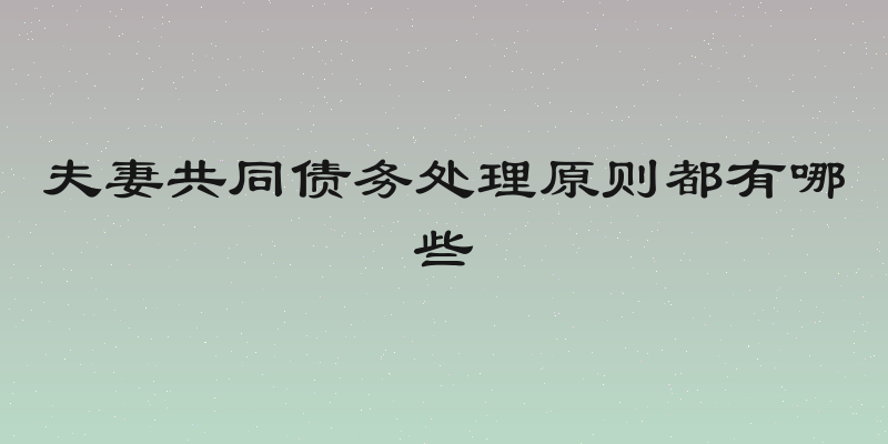 夫妻共同债务处理原则都有哪些