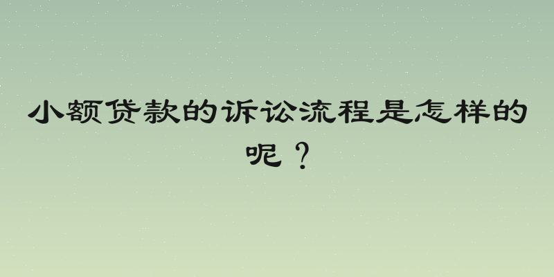小额贷款的诉讼流程是怎样的呢？