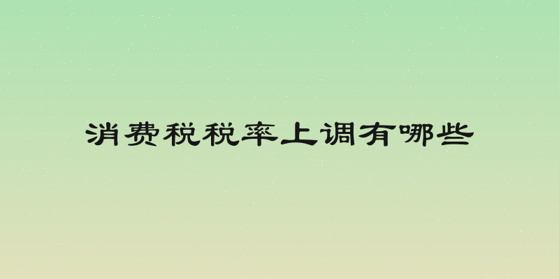 消费税税率上调有哪些