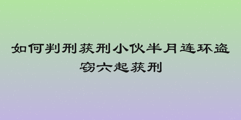 如何判刑获刑小伙半月连环盗窃六起获刑