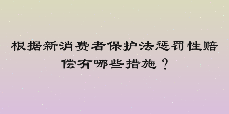 根据新消费者保护法惩罚性赔偿有哪些措施？