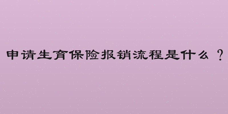 申请生育保险报销流程是什么？