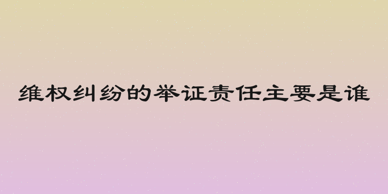 维权纠纷的举证责任主要是谁