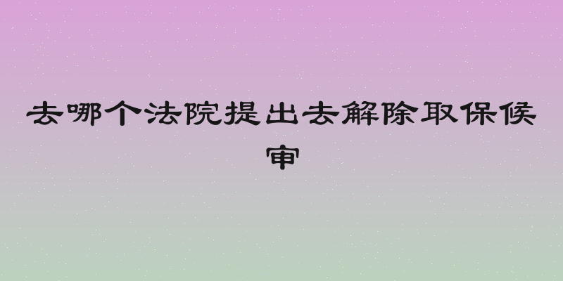 去哪个法院提出去解除取保候审