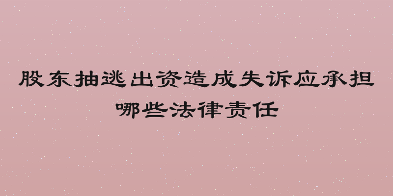 股东抽逃出资造成失诉应承担哪些法律责任