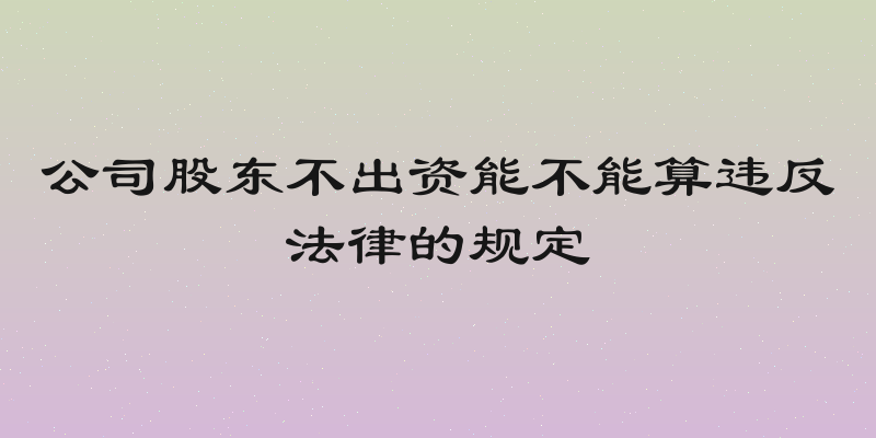 公司股东不出资能不能算违反法律的规定