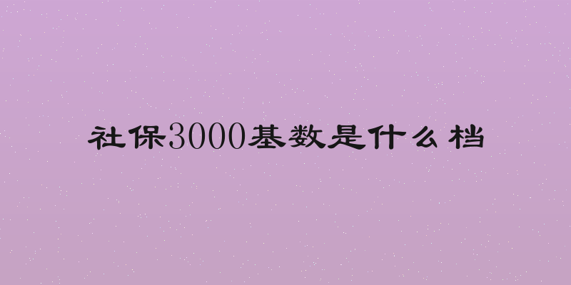 社保3000基数是什么档