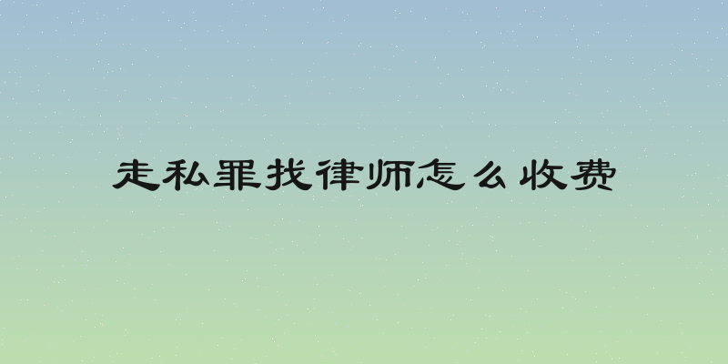 走私罪找律师怎么收费