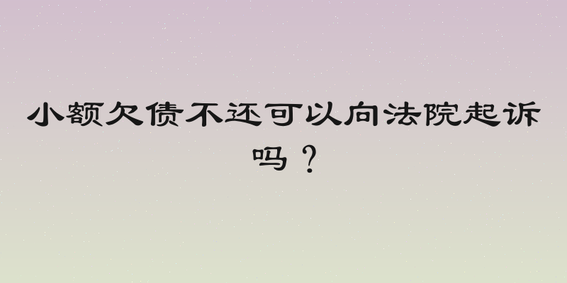 小额欠债不还可以向法院起诉吗？