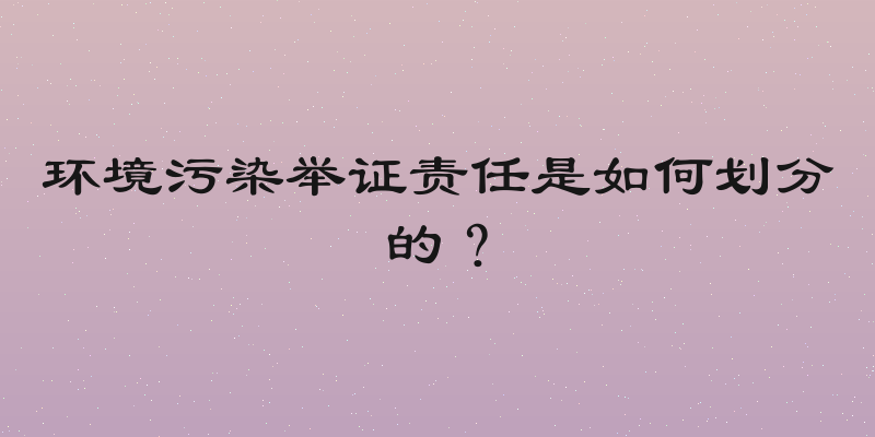 环境污染举证责任是如何划分的？