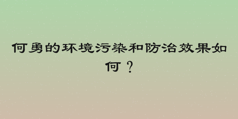 何勇的环境污染和防治效果如何？