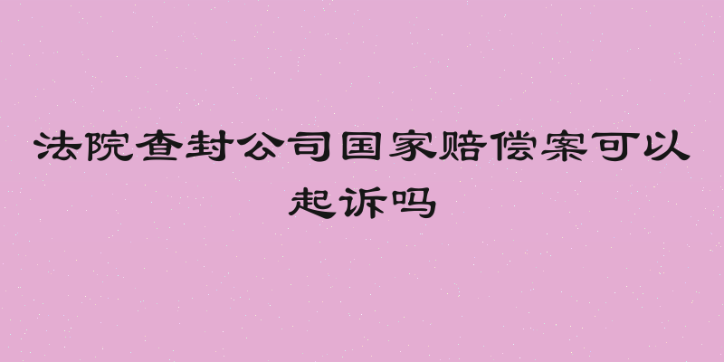 法院查封公司国家赔偿案可以起诉吗