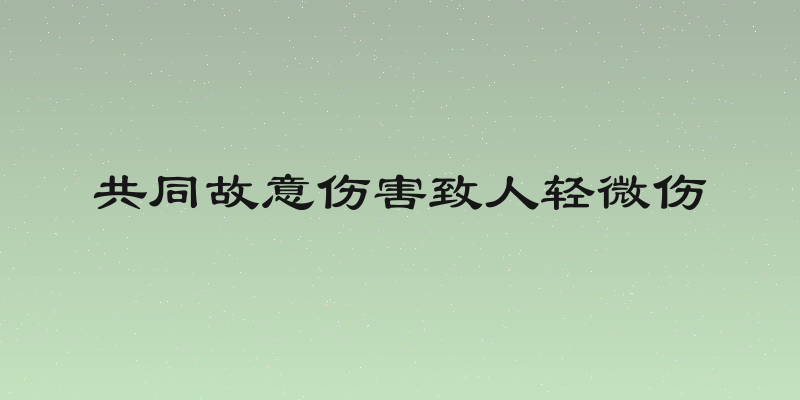 共同故意伤害致人轻微伤