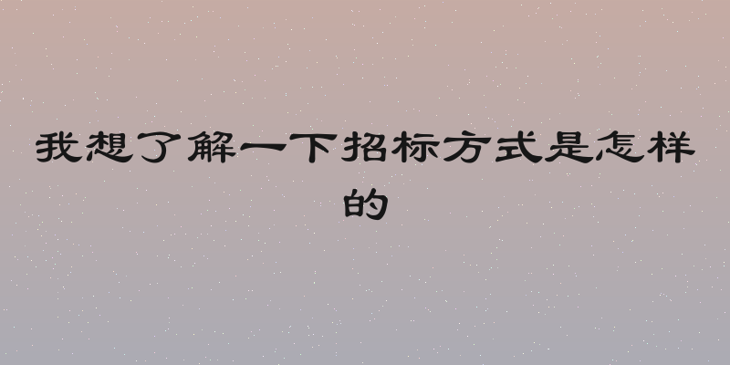 我想了解一下招标方式是怎样的