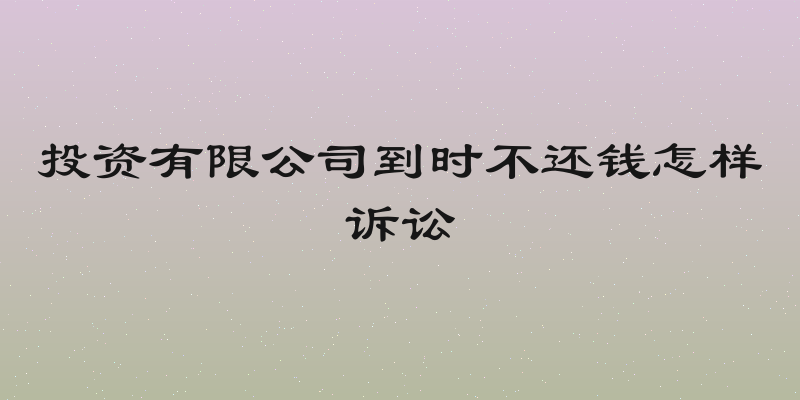 投资有限公司到时不还钱怎样诉讼