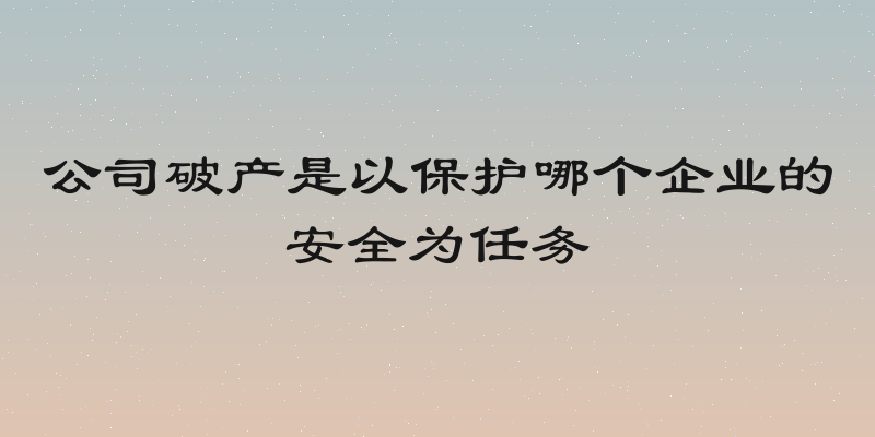 公司破产是以保护哪个企业的安全为任务