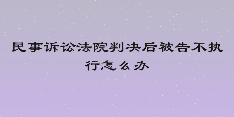 民事诉讼法院判决后被告不执行怎么办
