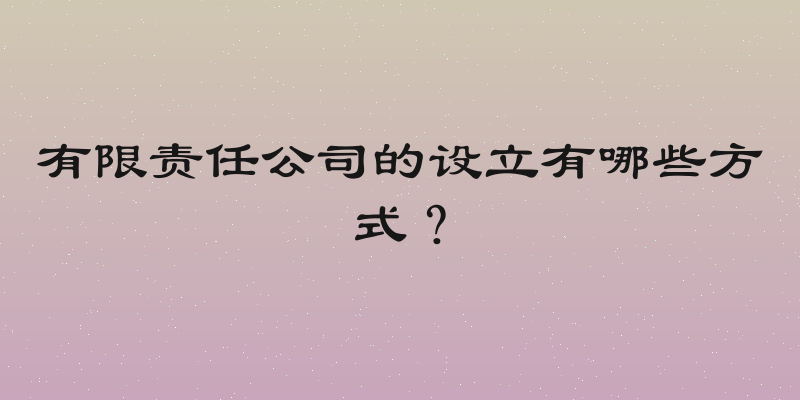 有限责任公司的设立有哪些方式？