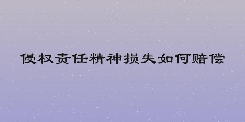 侵权责任精神损失如何赔偿