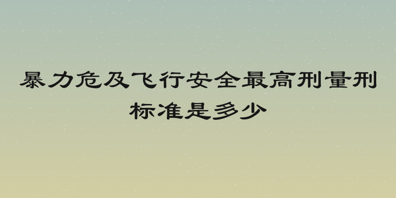 暴力危及飞行安全最高刑量刑标准是多少