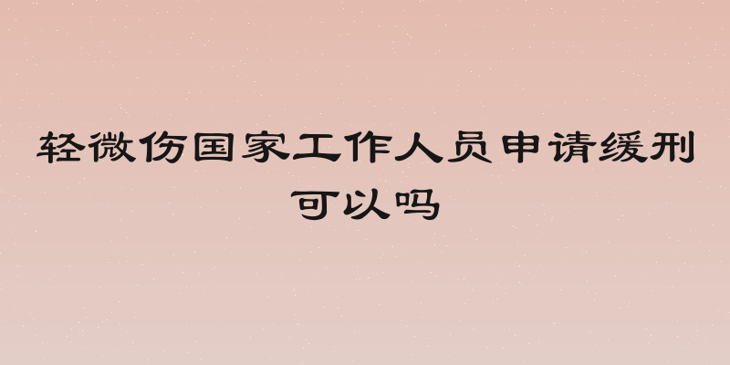 轻微伤国家工作人员申请缓刑可以吗
