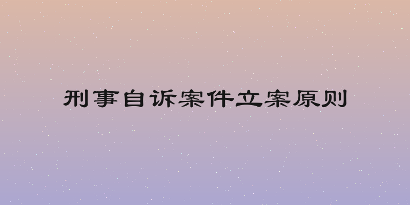 刑事自诉案件立案原则