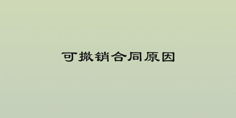 可撤销合同原因