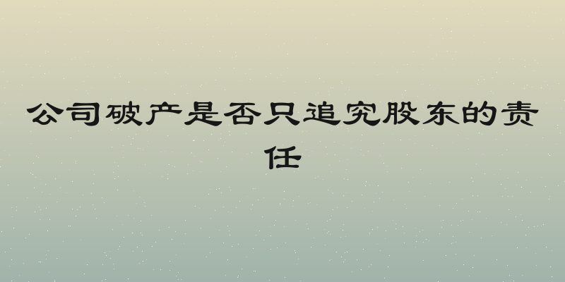 公司破产是否只追究股东的责任