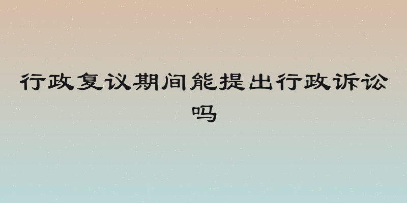 行政复议期间能提出行政诉讼吗