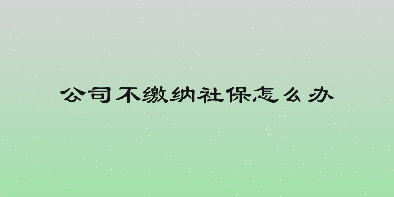公司不缴纳社保怎么办