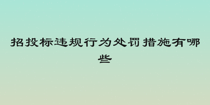 招投标违规行为处罚措施有哪些