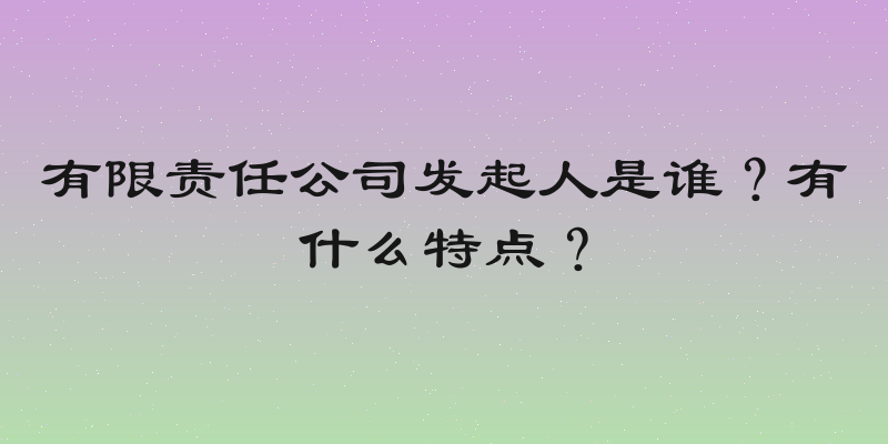 有限责任公司发起人是谁？有什么特点？