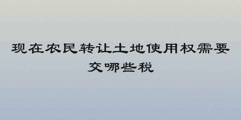 现在农民转让土地使用权需要交哪些税