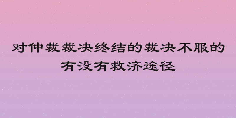 对仲裁裁决终结的裁决不服的有没有救济途径