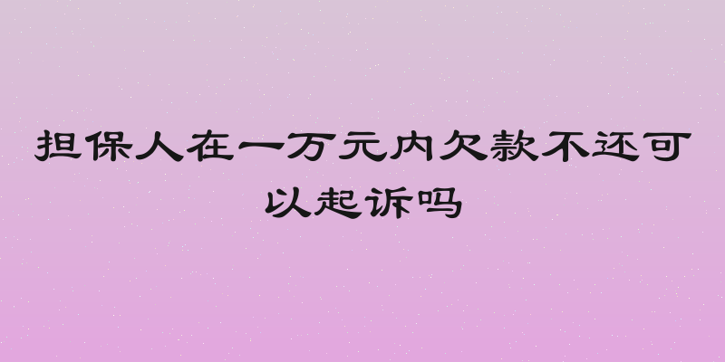 担保人在一万元内欠款不还可以起诉吗