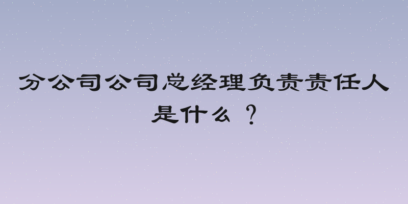 分公司公司总经理负责责任人是什么？