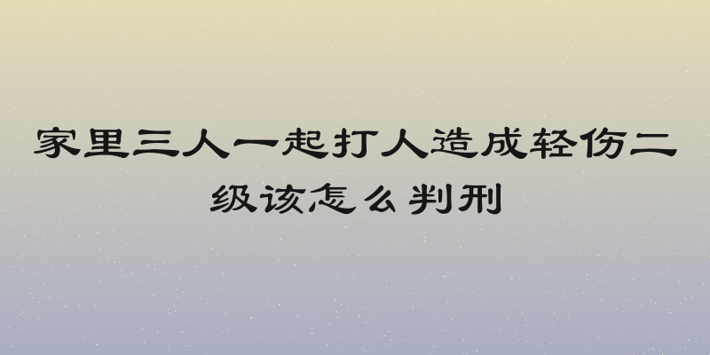 家里三人一起打人造成轻伤二级该怎么判刑