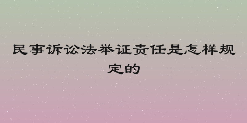 民事诉讼法举证责任是怎样规定的